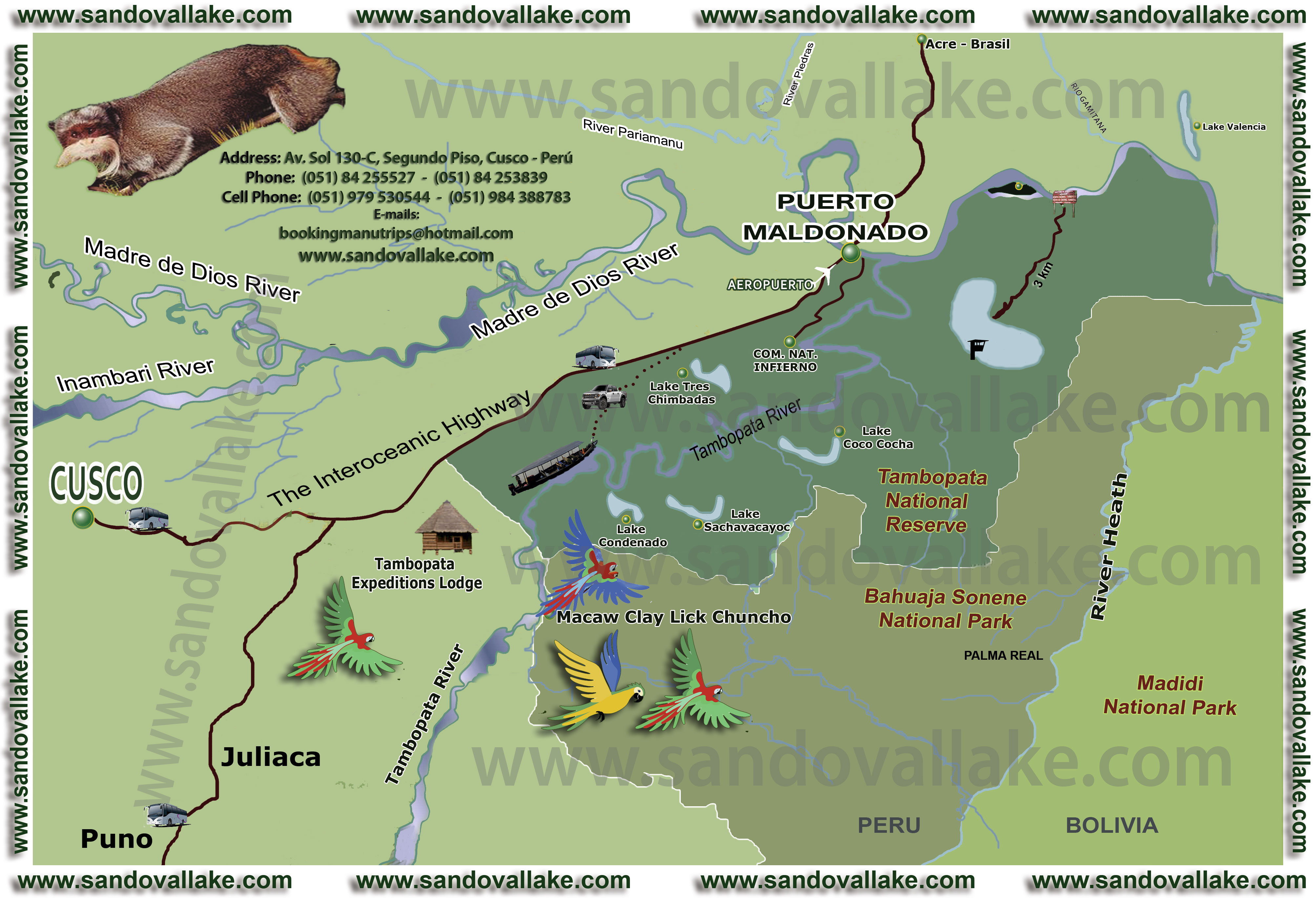 sandoval lake tambopata Amazon Wildlife Macaw Clay Lick reserve