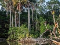 sandoval lake reserve lodge tambopata tours nature travel peru
