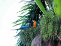 sandoval lake reserve lodge tambopata tours nature travel peru