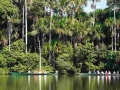 sandoval lake reserve lodge tambopata tours nature travel peru