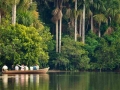 sandoval lake reserve lodge tambopata tours nature travel peru
