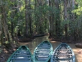sandoval lake reserve lodge tambopata tours nature travel peru