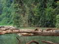 sandoval lake reserve lodge tambopata tours nature travel peru