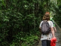 tambopata sandoval lake lodge amazon green