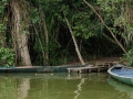 tambopata sandoval lake lodge amazon green