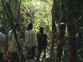 tambopata sandoval lake lodge amazon green