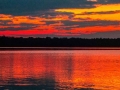 tambopata sandoval lake lodge amazon green