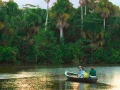 tambopata sandoval lake lodge amazon green