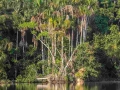 amaozn life tambopata sandoval lake lodge reserve