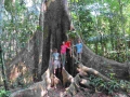 amaozn life tambopata sandoval lake lodge reserve