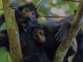 amaozn life tambopata sandoval lake lodge reserve