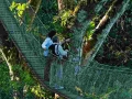 amaozn life tambopata sandoval lake lodge reserve