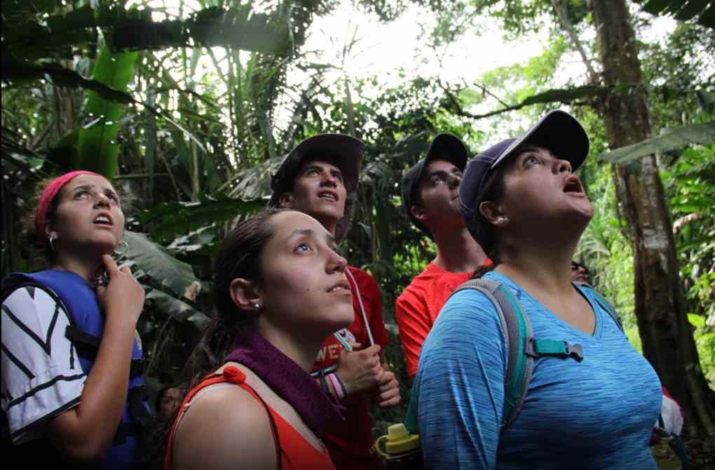 amazon wildlife sandoval lake tambopata lodge reserve
