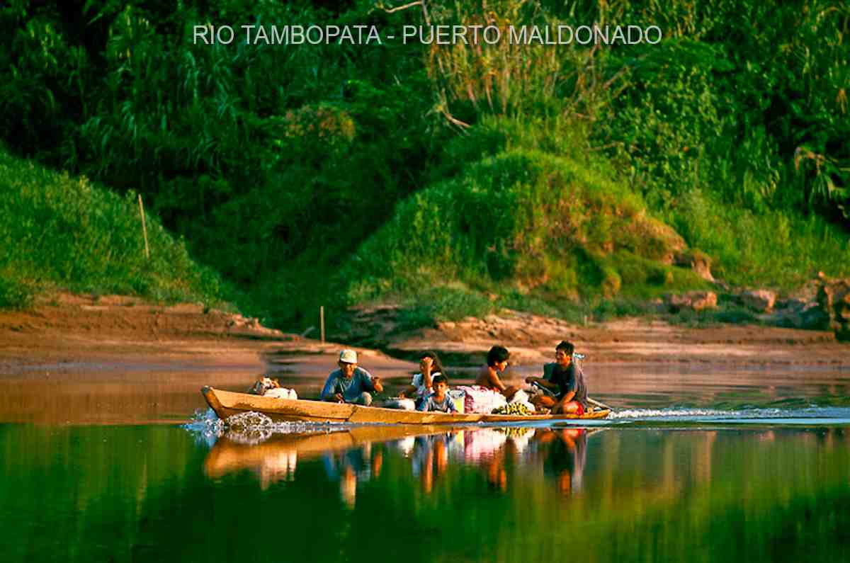 amazon wildlife sandoval lake tambopata lodge reserve