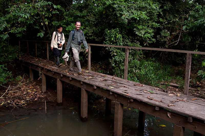 amazon wildlife sandoval lake tambopata lodge reserve
