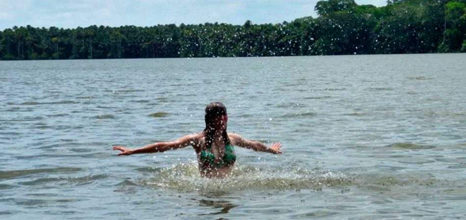 amazon wildlife sandoval lake tambopata lodge reserve
