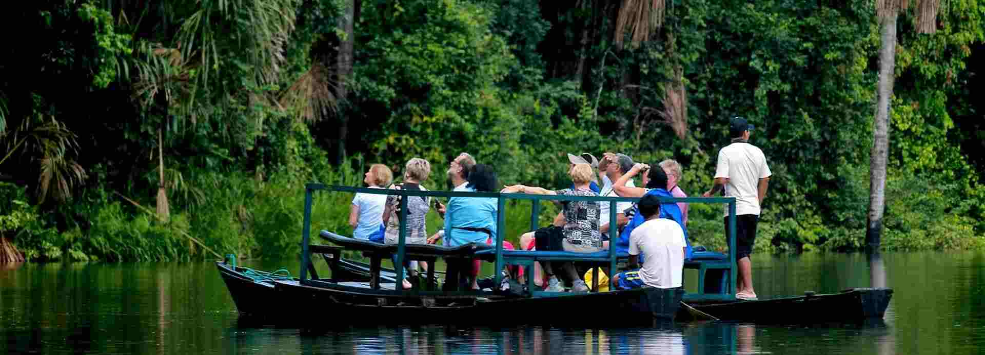 amazon wildlife sandoval lake tambopata lodge reserve