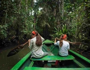 amazon wildlife sandoval lake tambopata lodge reserve