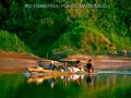 amazon wildlife sandoval lake tambopata lodge reserve