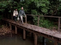amazon wildlife sandoval lake tambopata lodge reserve