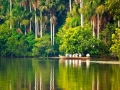 amazon wildlife sandoval lake tambopata lodge reserve