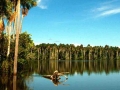 amazon wildlife sandoval lake tambopata lodge reserve