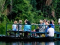 amazon wildlife sandoval lake tambopata lodge reserve
