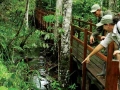 amazon wildlife sandoval lake tambopata lodge reserve