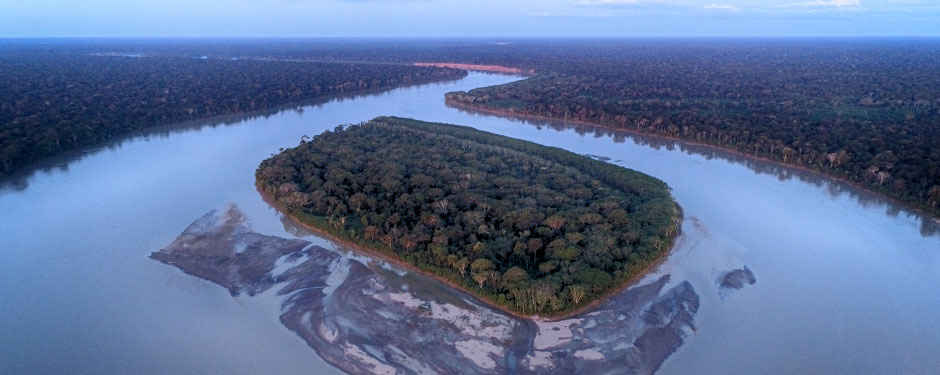 Rainforest Tambopata National Reserve