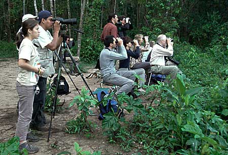 Volunteers lake sandoval 4D