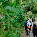 Lago Sandoval Collpa Guacamayos