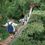 amazon tours sandoval lake lodge