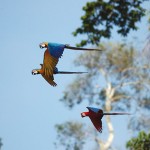 amazon tours sandoval lake lodge