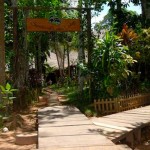 sandoval lake amazon travel tambopata