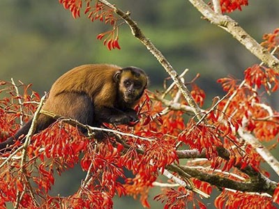 Nuestro Tours Amazonas Peru 3 Dias