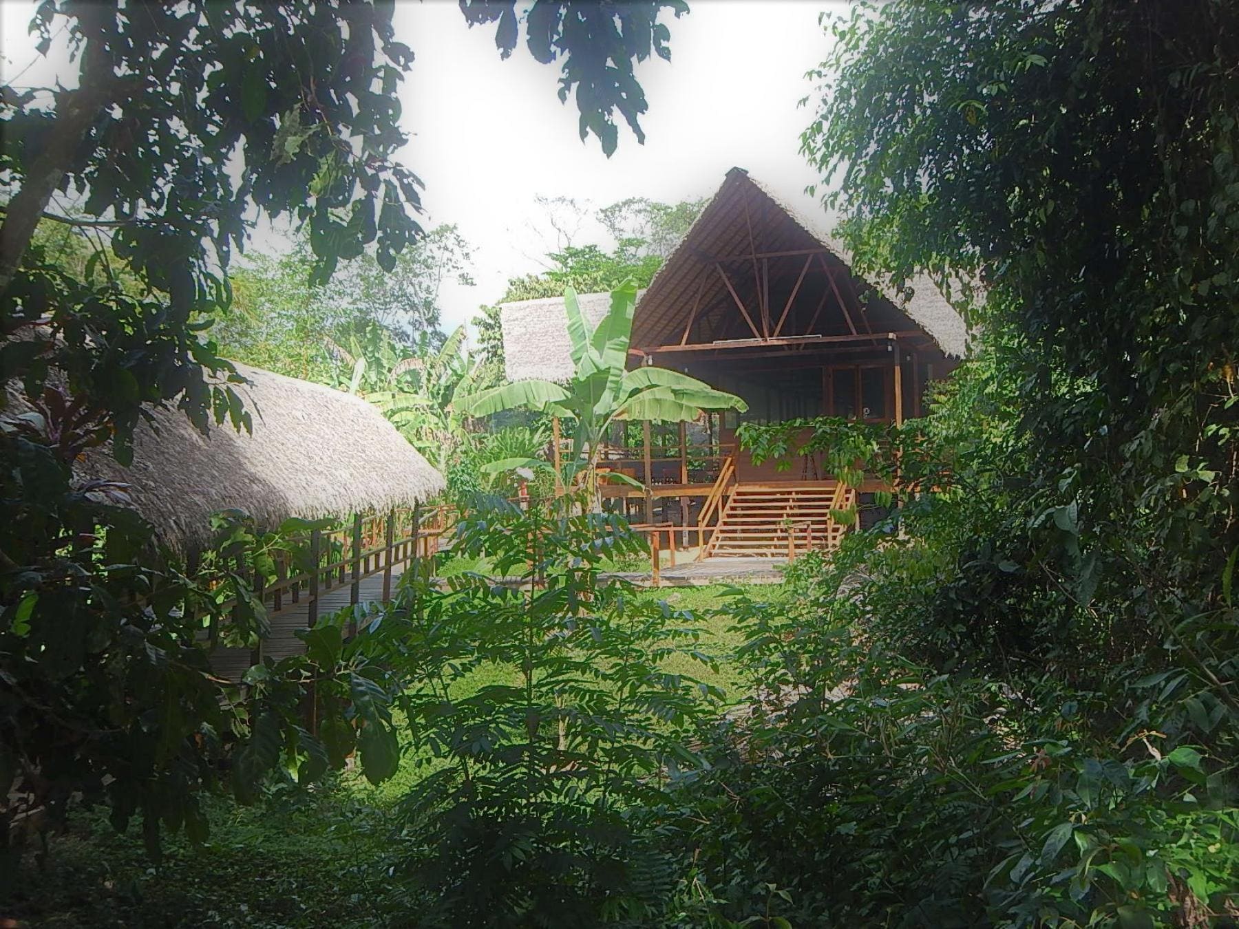 Lodge Rainforest Expeditions