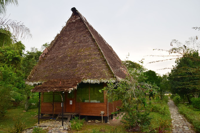 Amazon Lodge