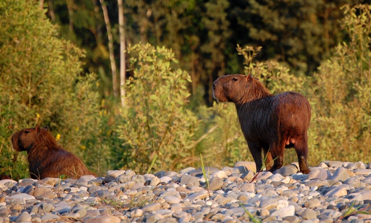 Tours Amazonia Lago Sandoval 3 dias