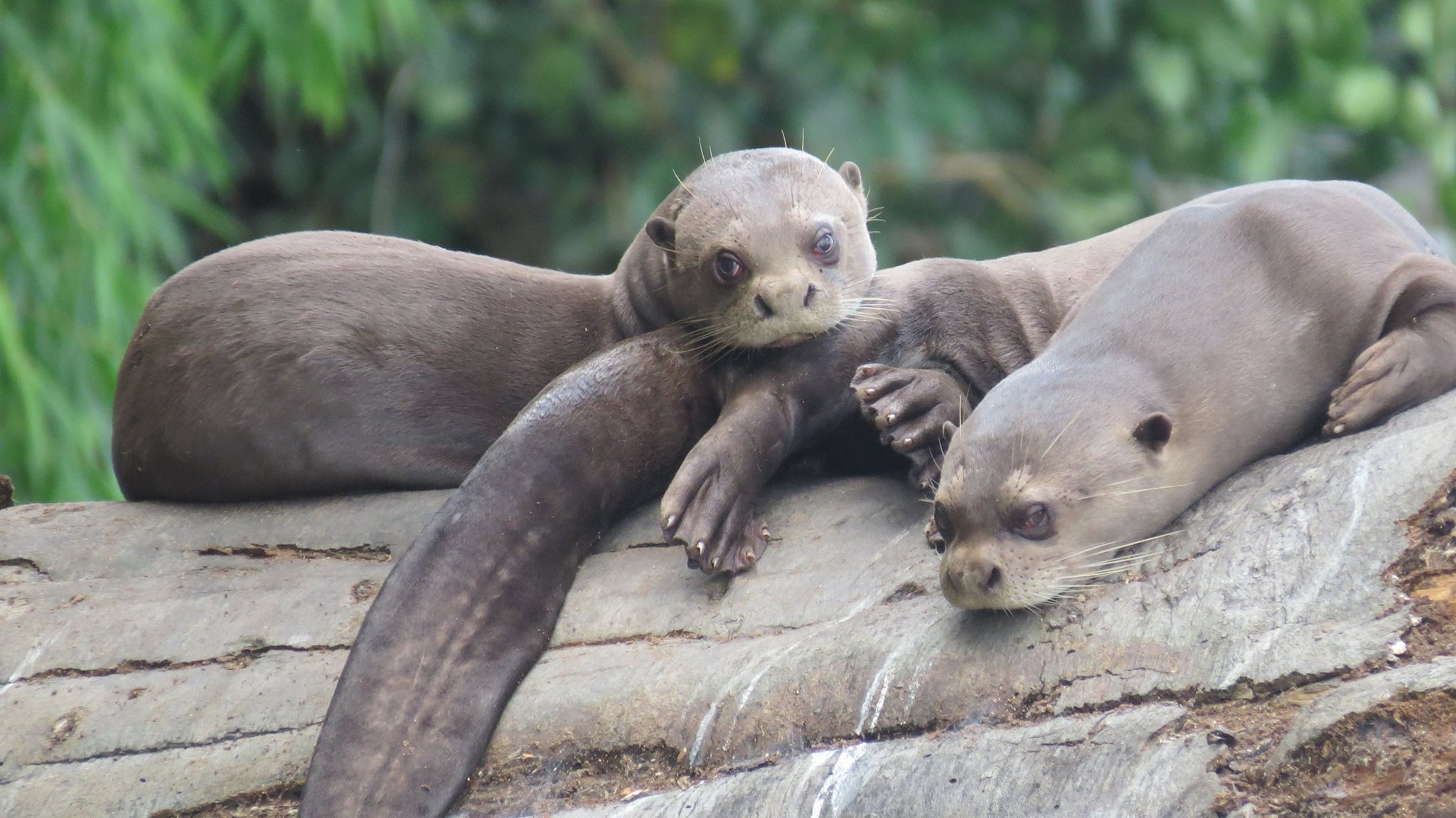 Gallery Sandoval Lake Lodge