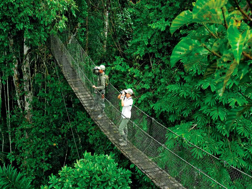 Unforgettable Adventure Amazon Rainforest 1 day