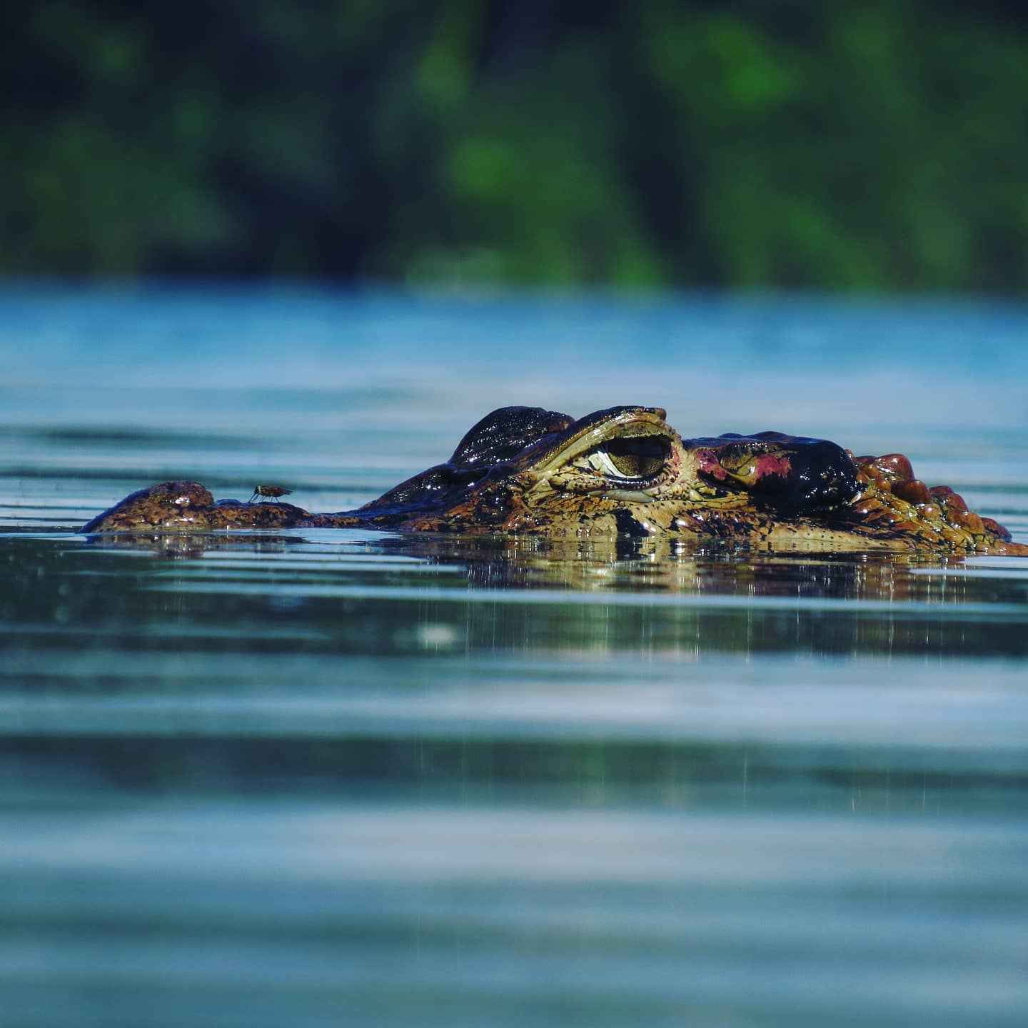 Expedition Tour 5 days