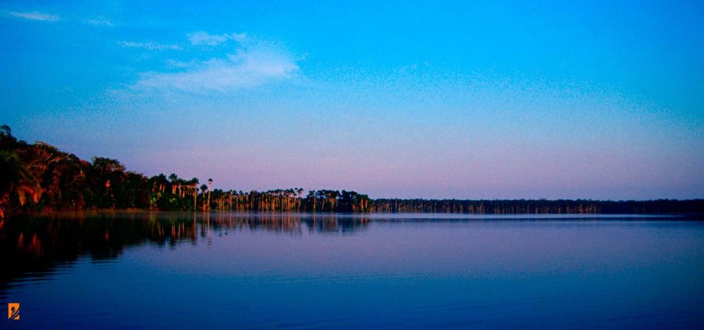 Expedicion Amazonica - Tambopata Lago Sandoval 5dias