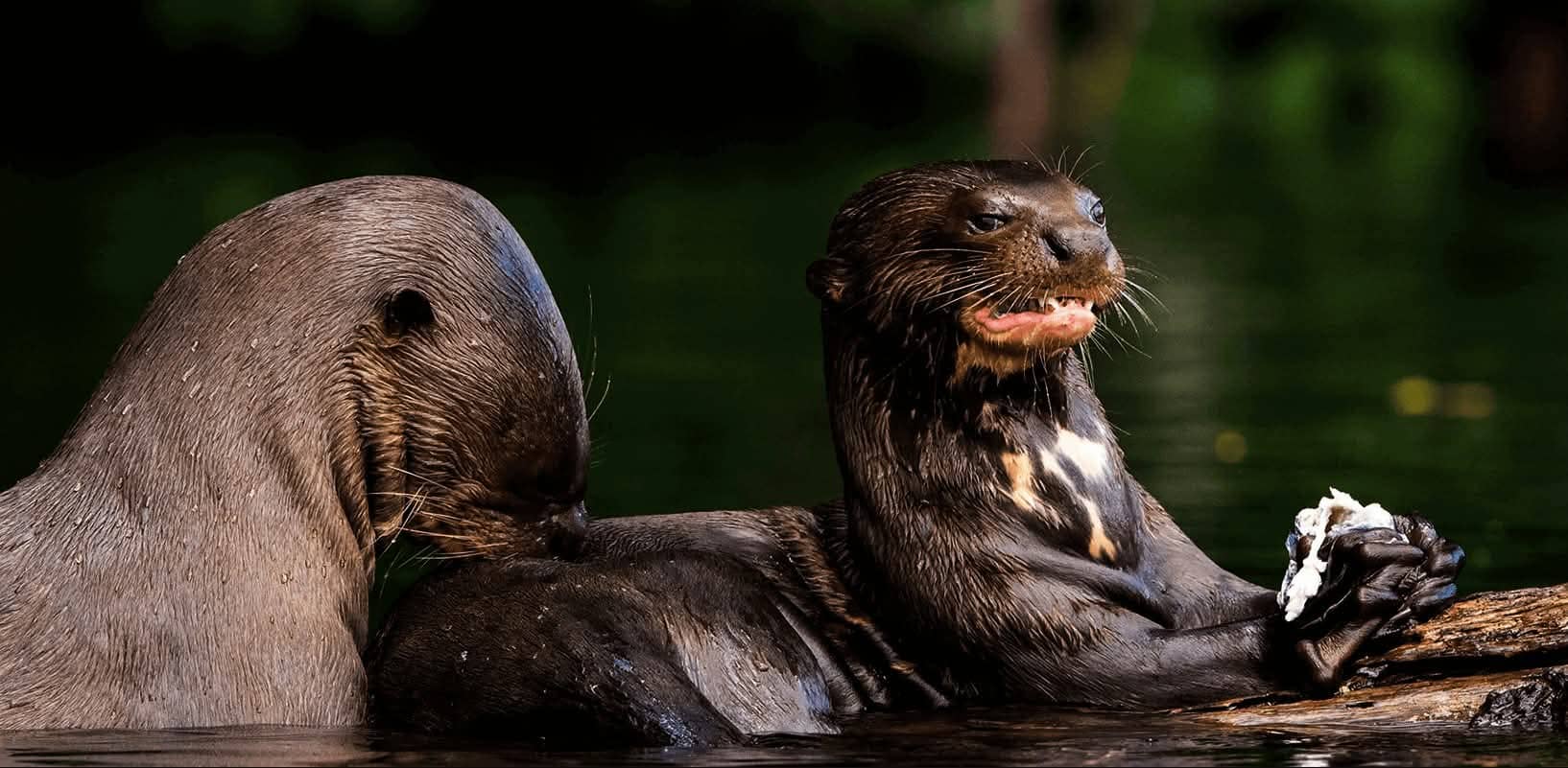 Sandoval Lake Full day