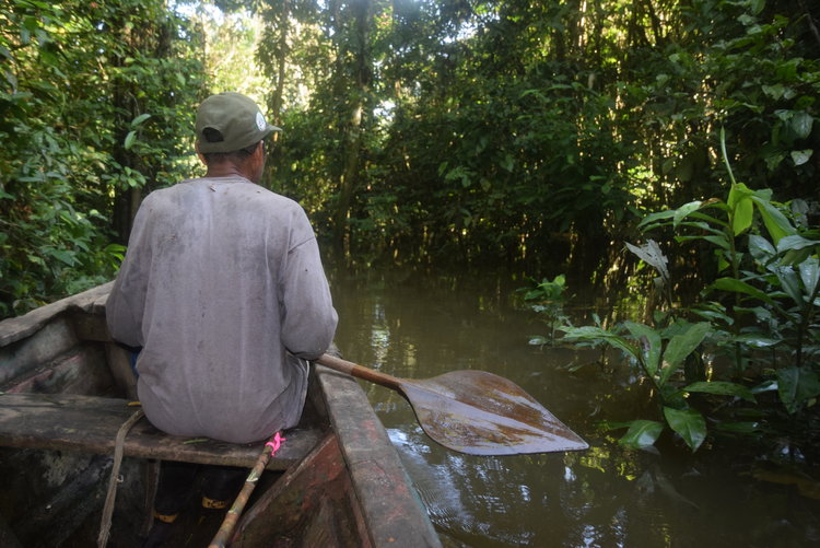 Tours Amazonas  4 dias