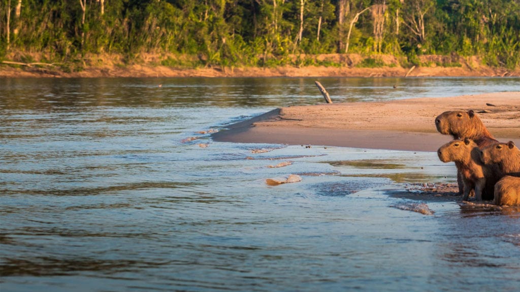 Viajes Aventuras Peru  2días