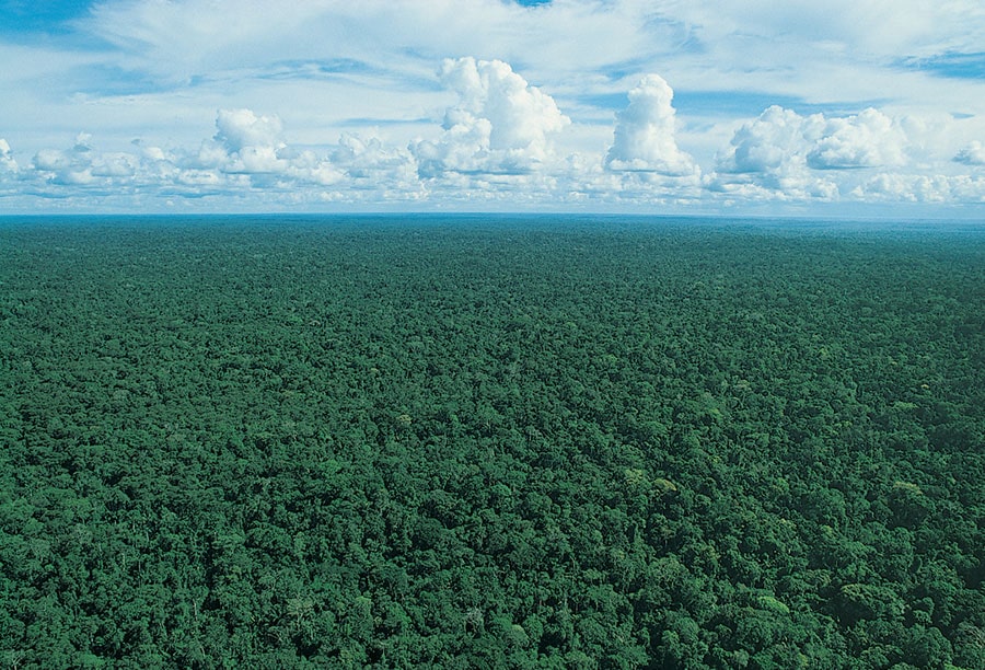 Amazon Explorer Expediciones Trips 4 dias