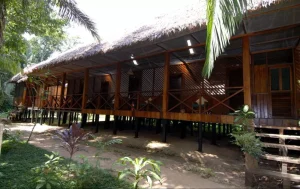 Expedicion Amazonica Sandoval Lodge 4 dias
