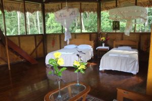 eco lodge amazon 