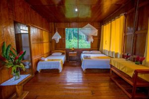 travel amazonia lodge 