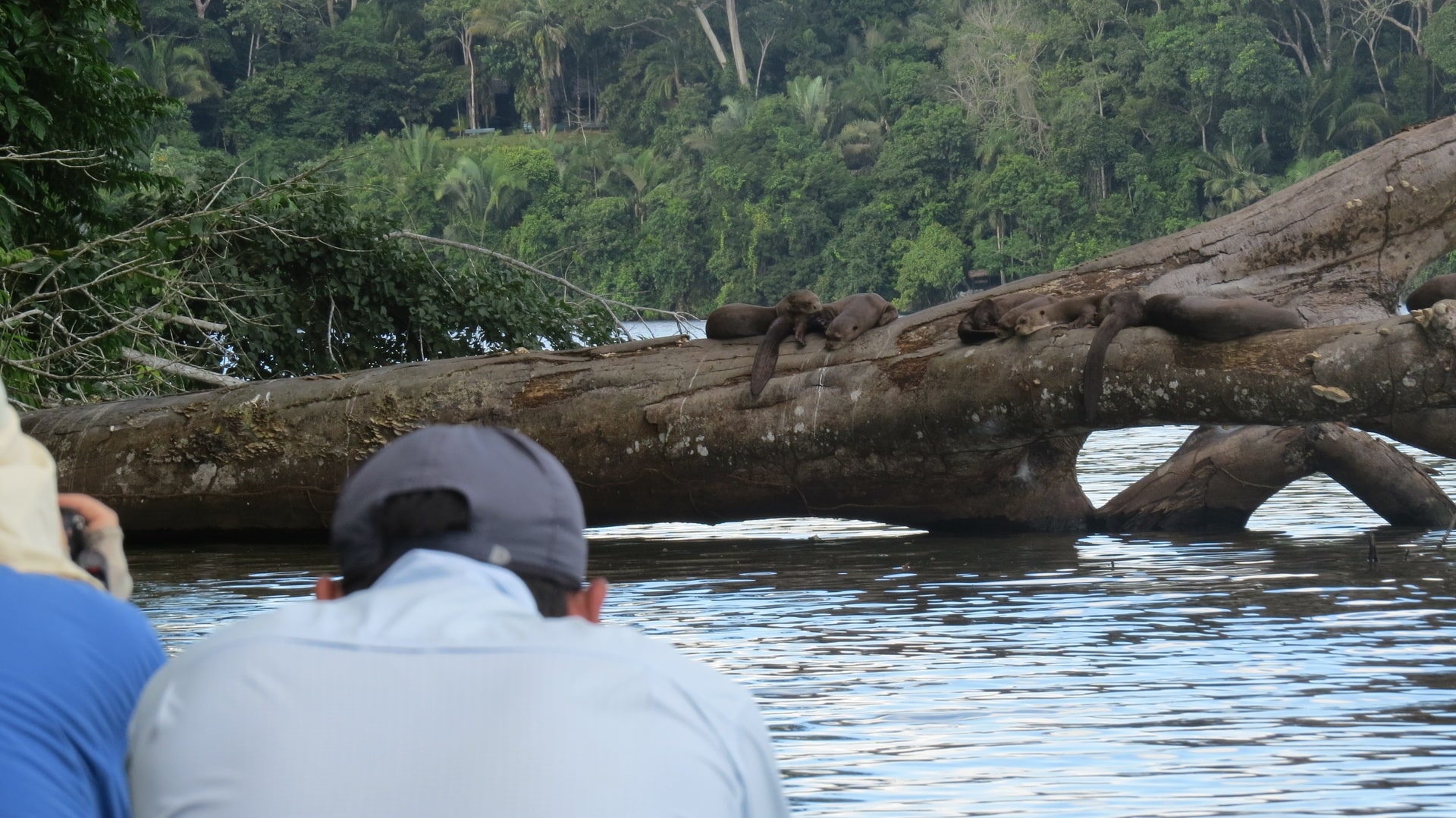 Expedicion Amazonica Sandoval Lodge 4 dias